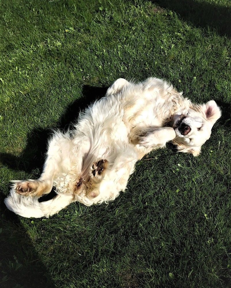 Photograph by Iuliia Akhulkova