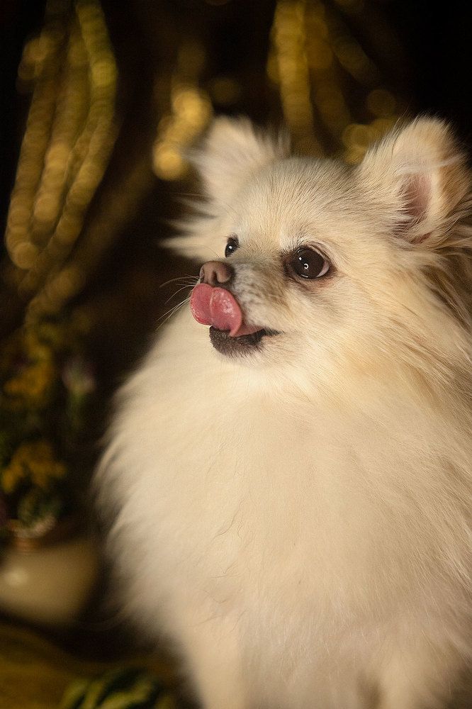 Photograph by Марго Лимп