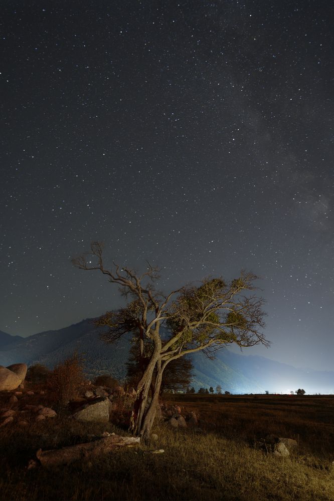 Photograph by Александр Соломкин