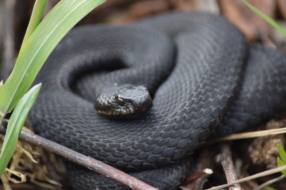 Photograph by Андрей Головин