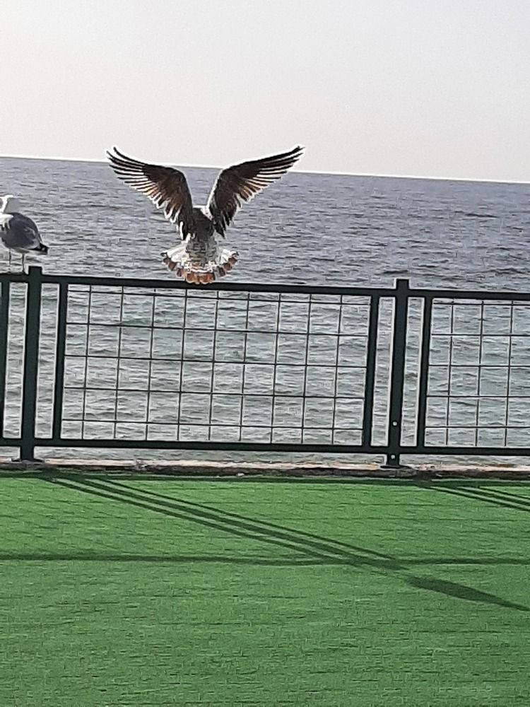 Photograph by Наталия