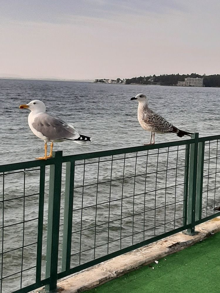 Photograph by Наталия