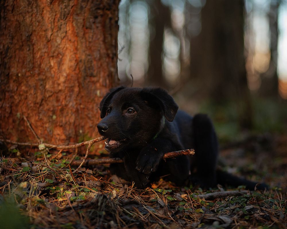 Photograph by Валентина Князева