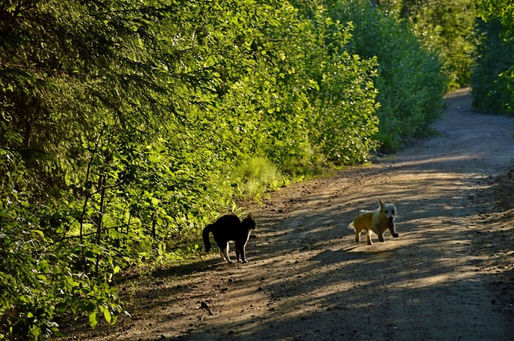 Photograph by Анна Мещерина