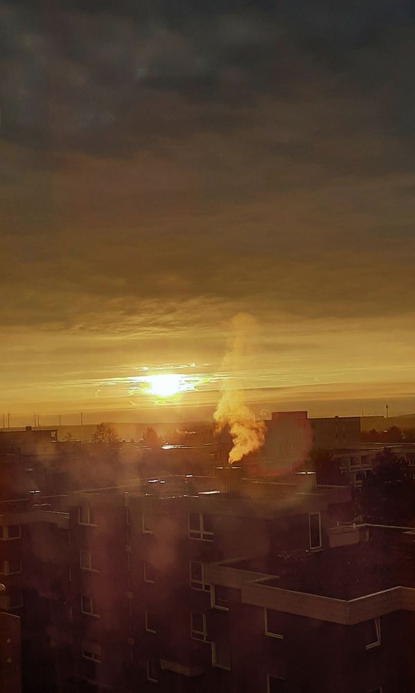 Фотография автора Meer GHERSBERG