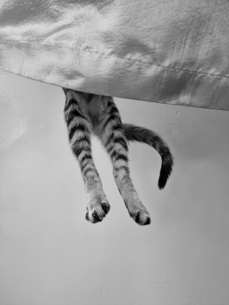 Photograph by George Pavlov