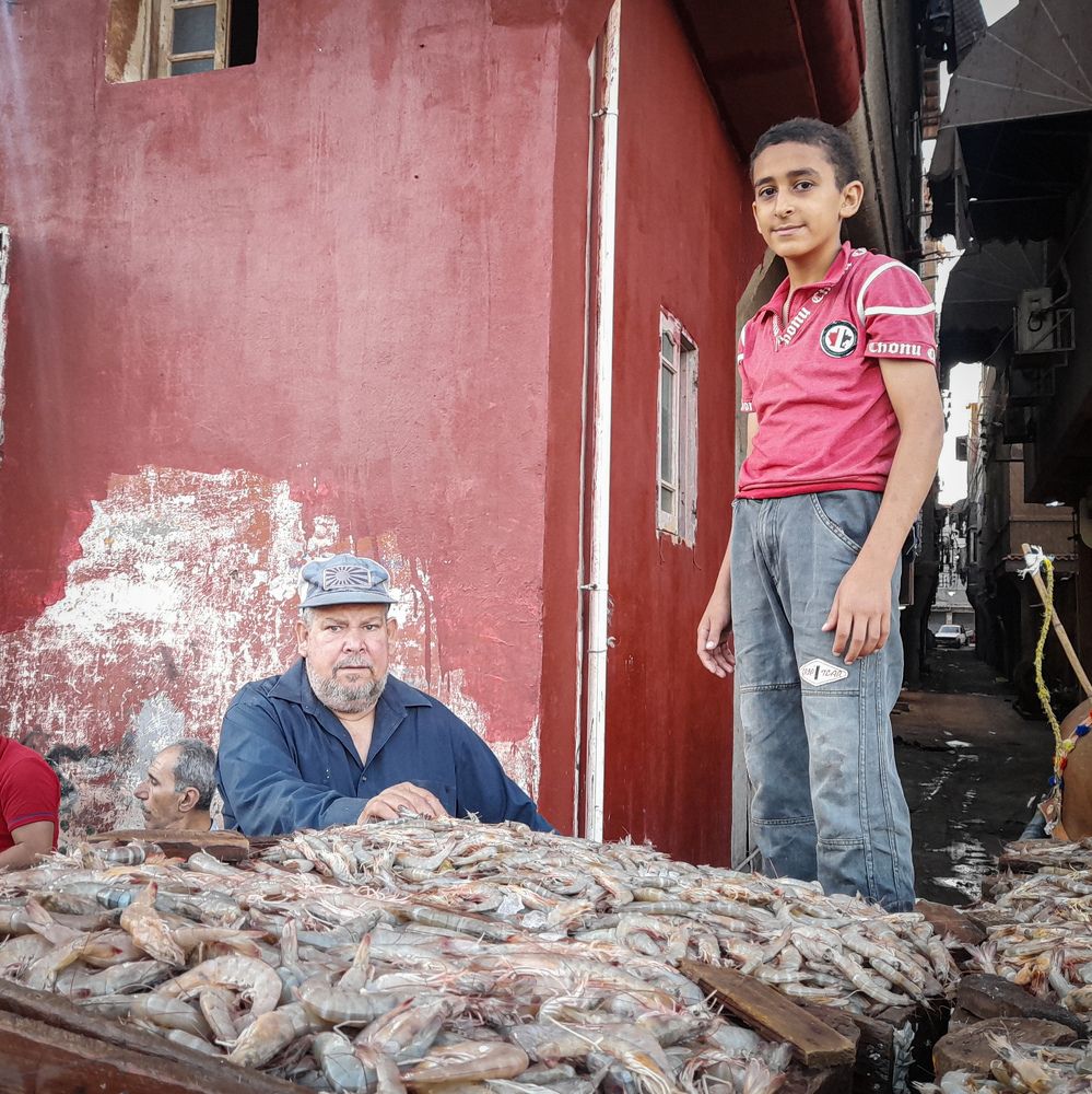 Photograph by hassan mohamed