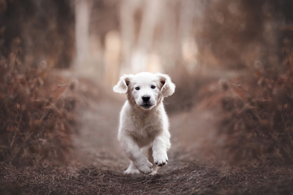 Photograph by Leticia Hernandez