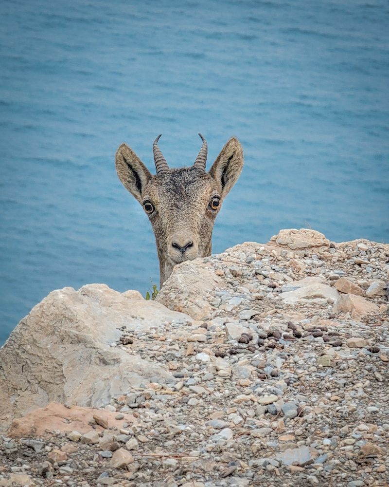 Photograph by Evgeny Pochaev