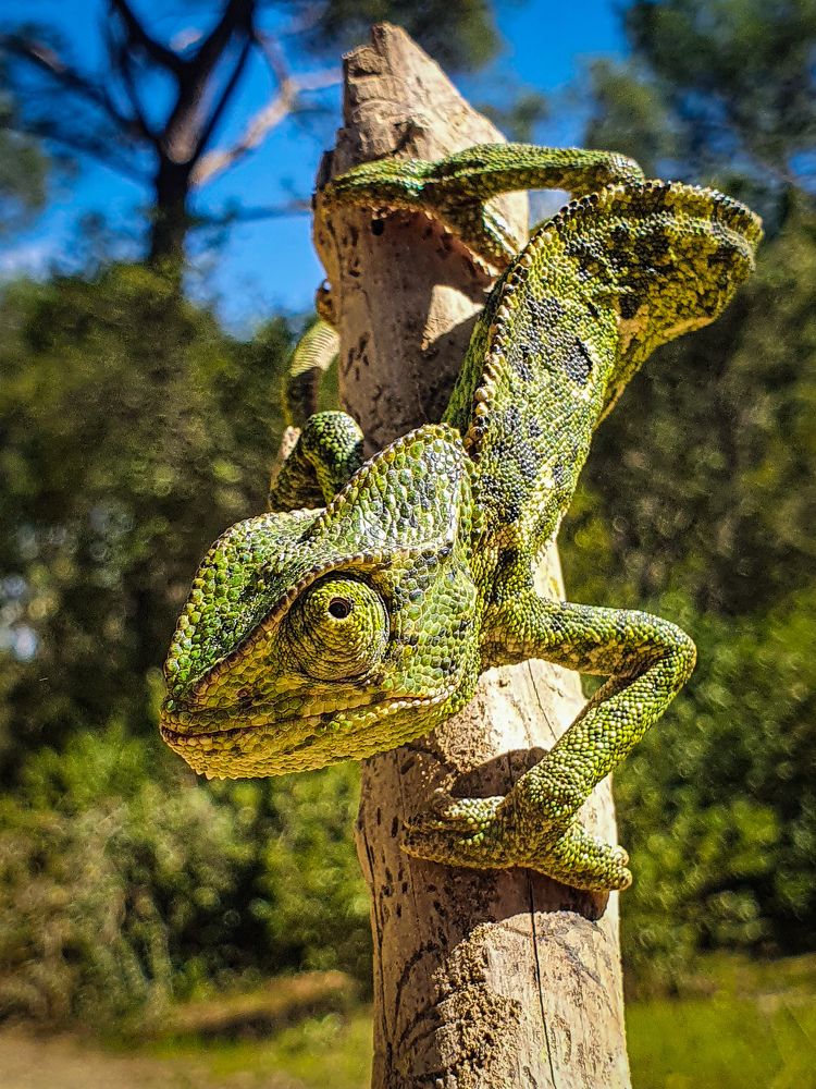 Photograph by Evgeny Pochaev