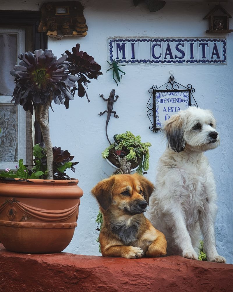 Photograph by Evgeny Pochaev