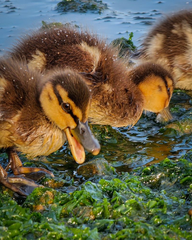 Photograph by Evgeny Pochaev