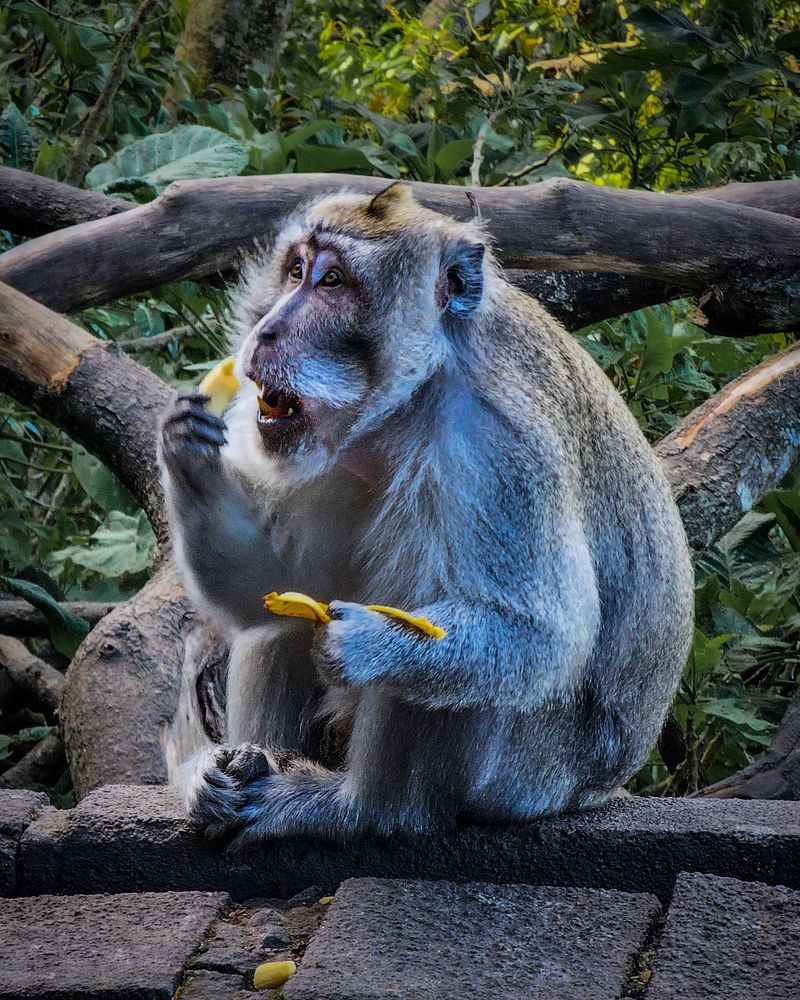 Photograph by Evgeny Pochaev