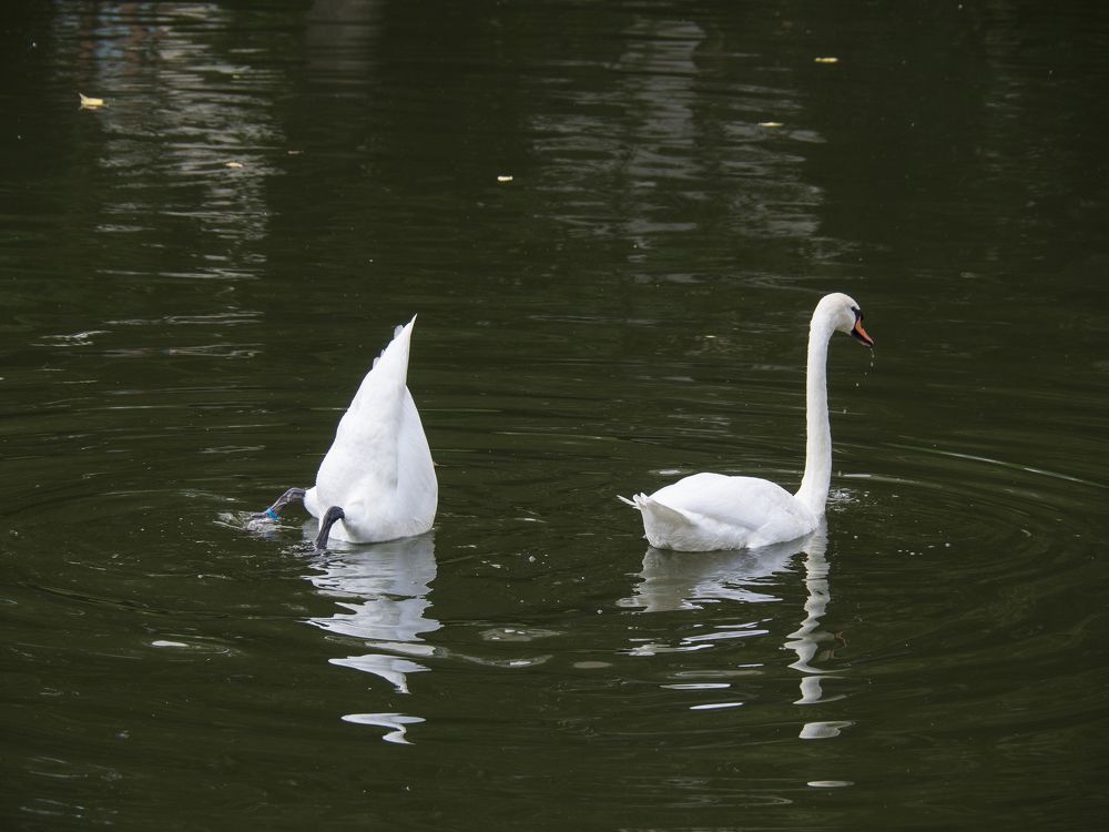 Photograph by Evgeniy Prokoptsov