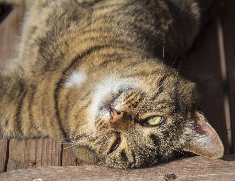 Photograph by Evgeniy Prokoptsov