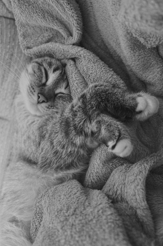 Photograph by Мария Байбарина