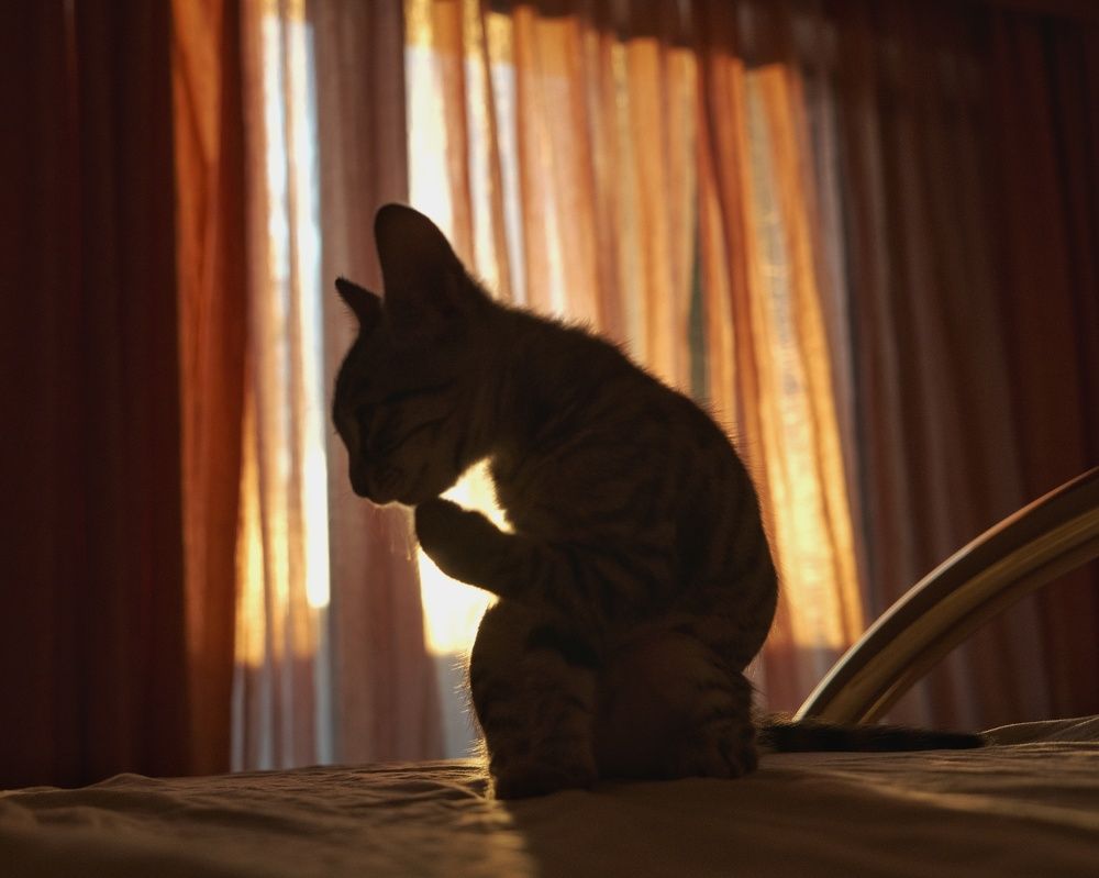 Photograph by Yulia Bilato