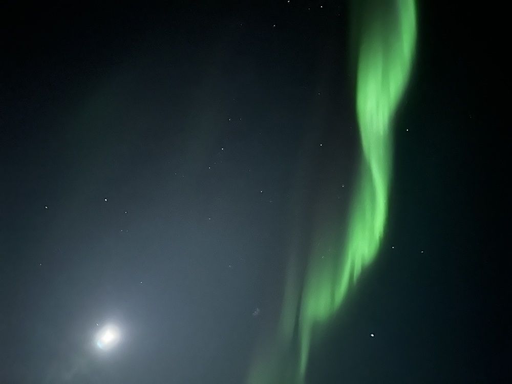 Photograph by Алина Камбулина