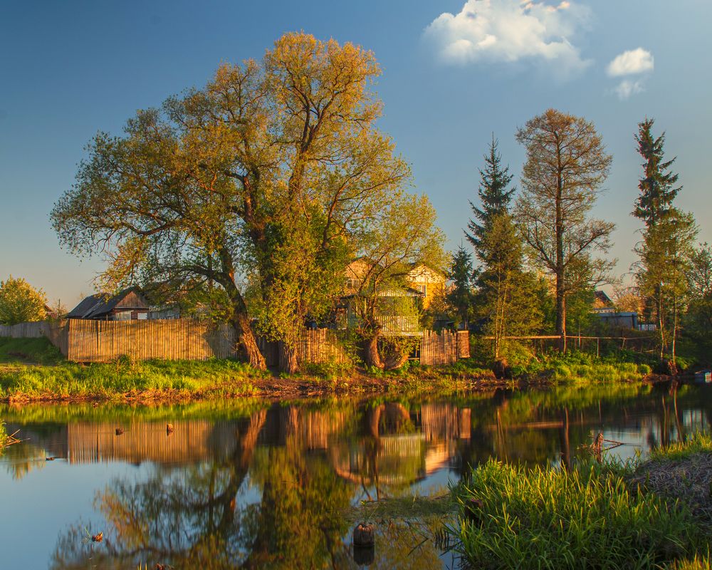 Photograph by Александр Панченко
