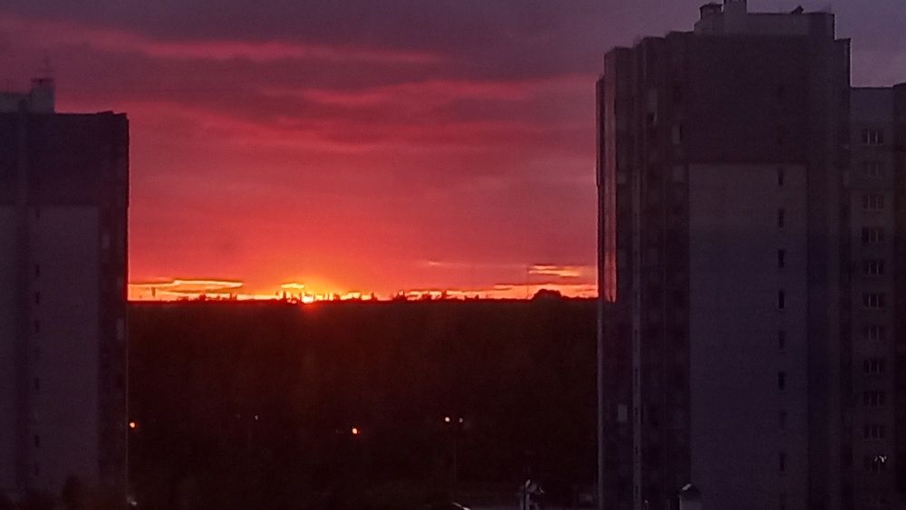 Photograph by Полина Солодягина