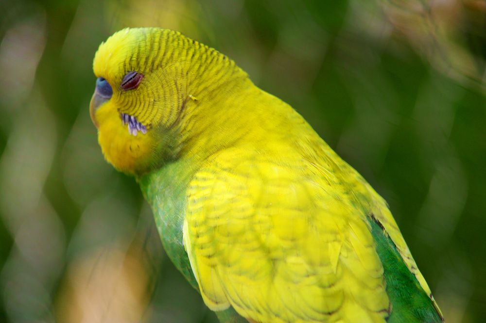 Photograph by Marcello França