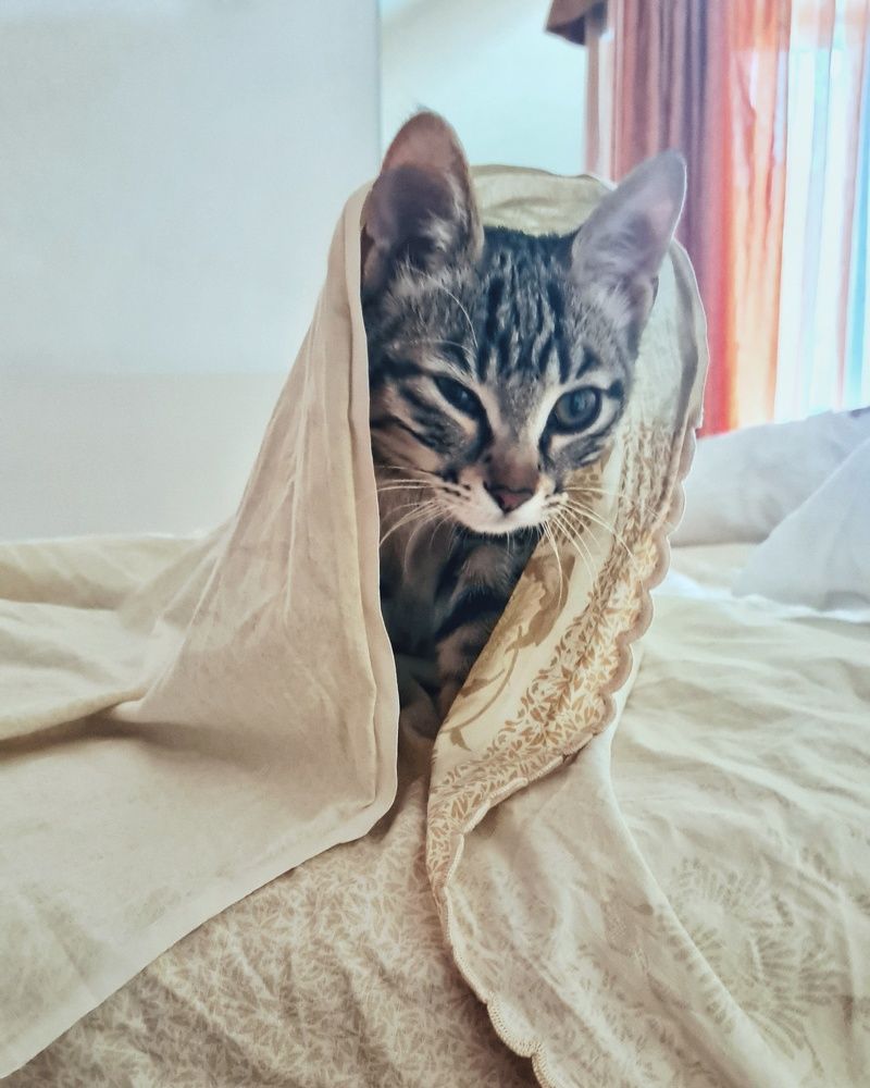 Photograph by Yulia Bilato