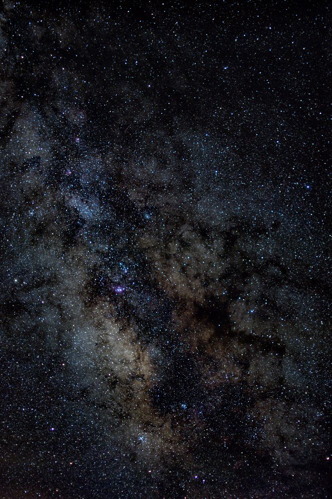 Photograph by David Araujo