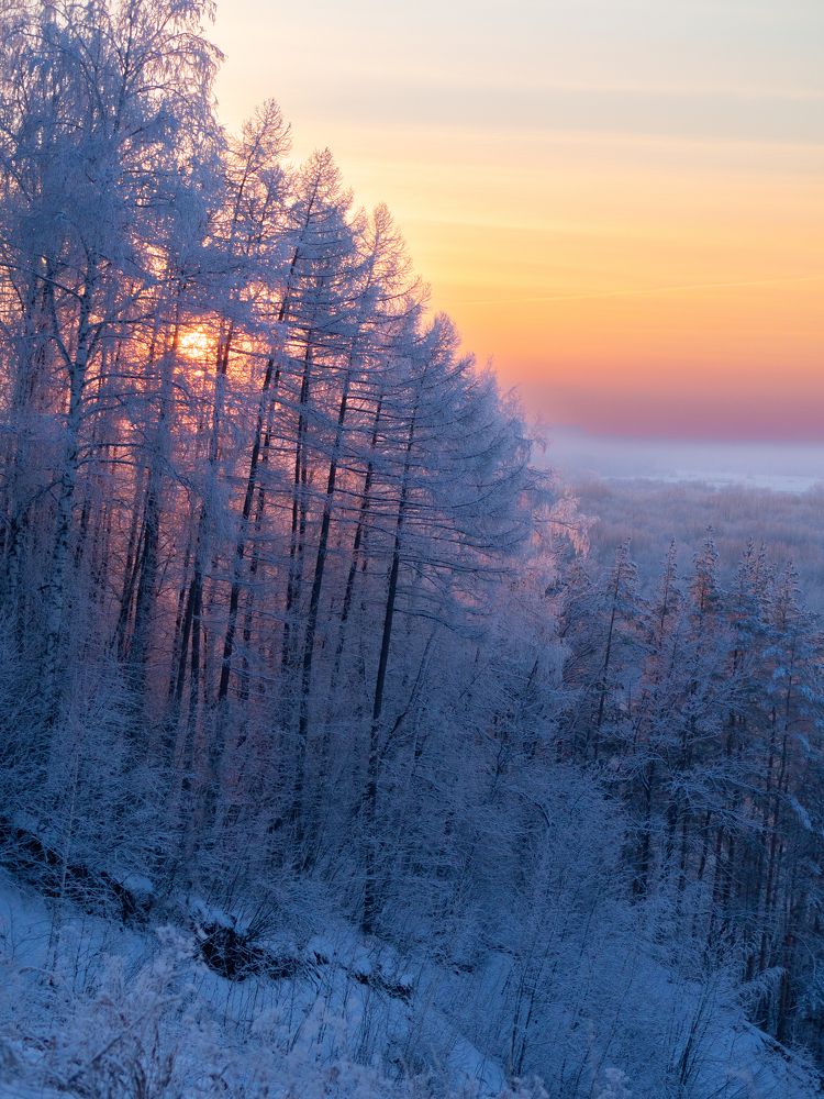 Photograph by Larisa Usova