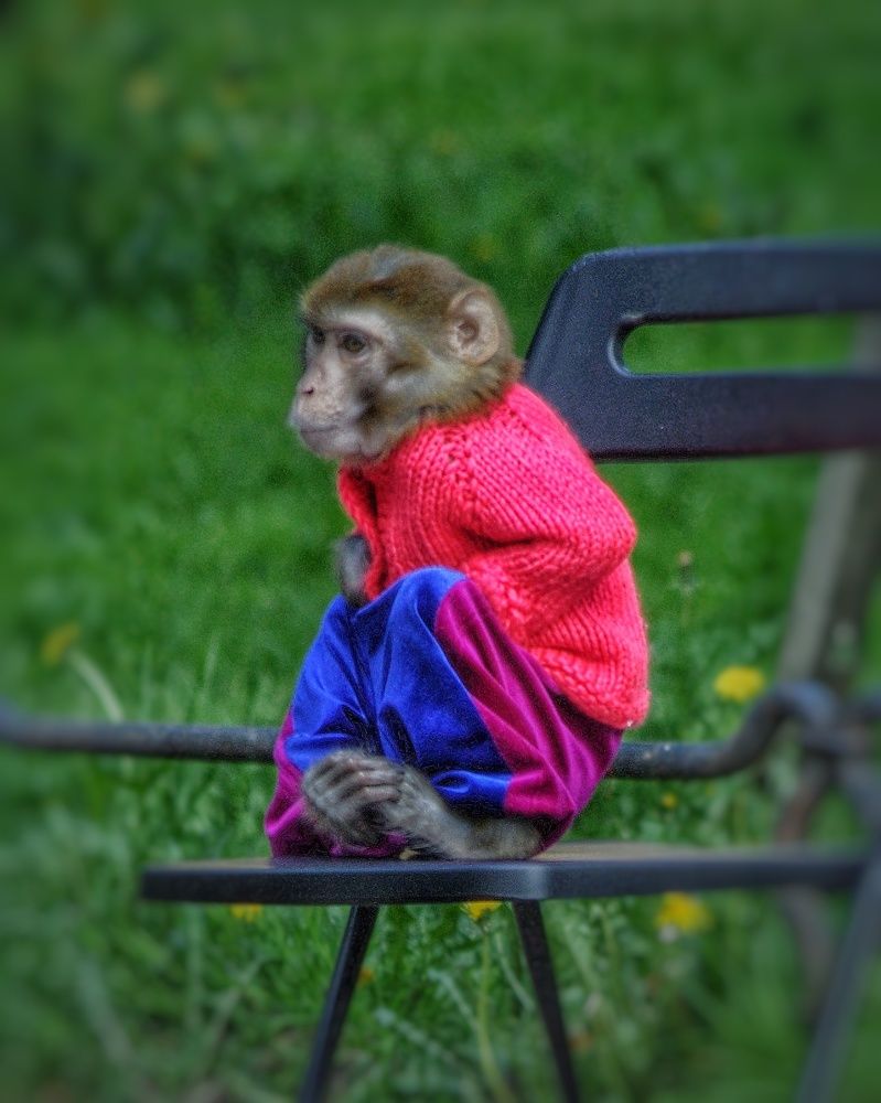 Photograph by Елена Гусева