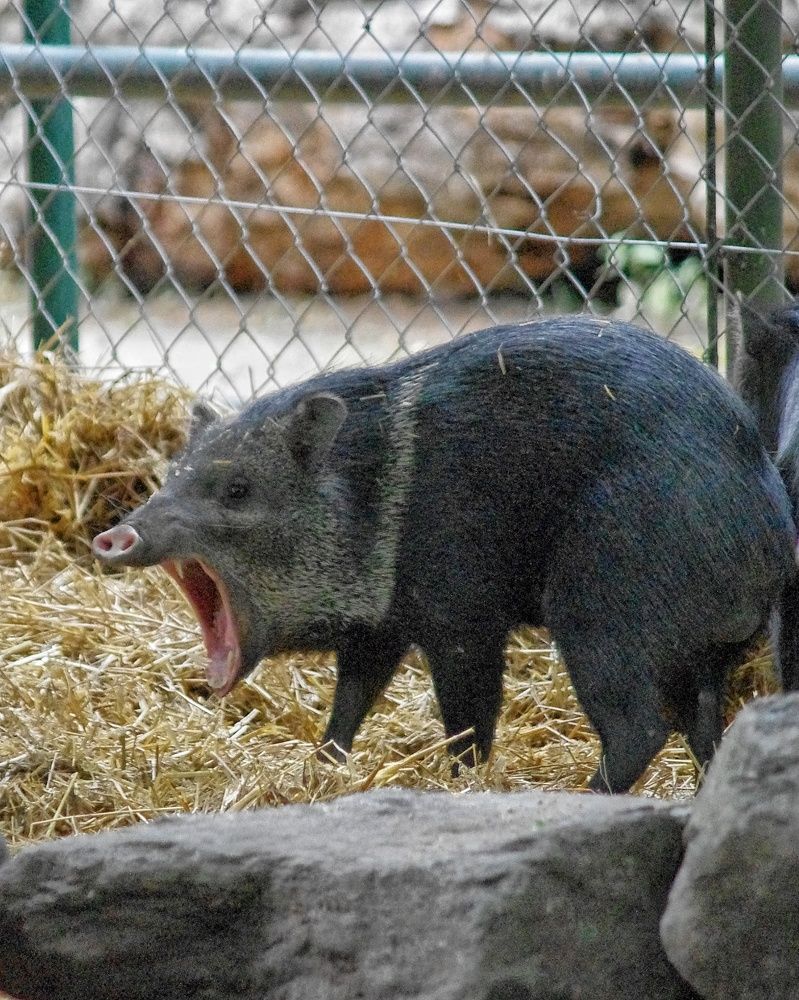 Photograph by Елена Гусева