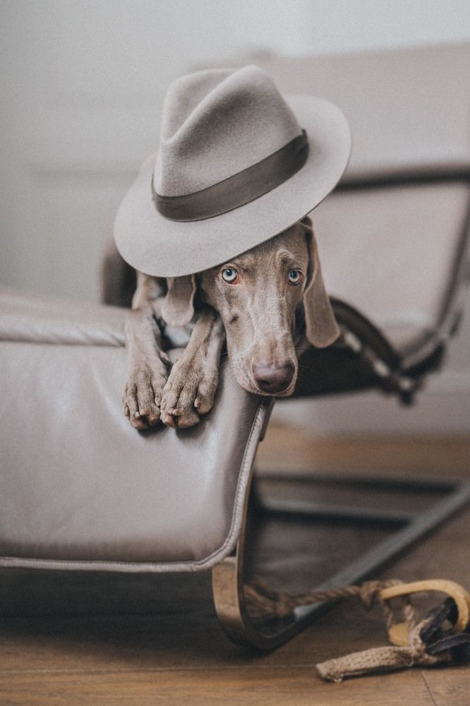 Photograph by Елена Митрофанова