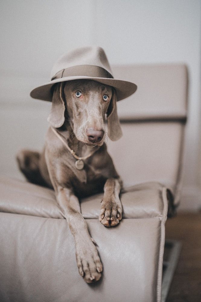 Photograph by Елена Митрофанова