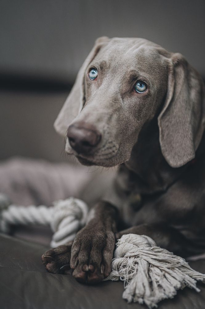 Photograph by Елена Митрофанова