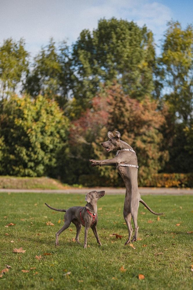 Photograph by Елена Митрофанова