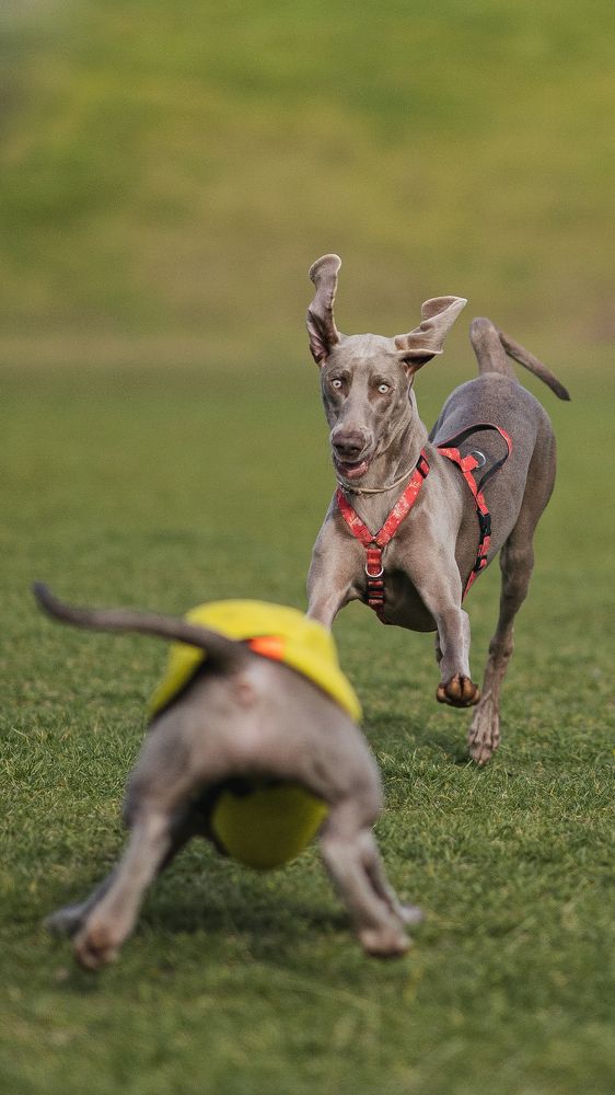 Photograph by Елена Митрофанова