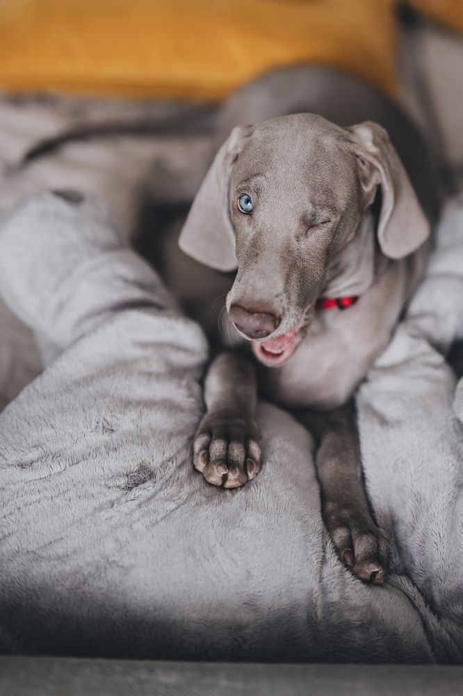 Photograph by Елена Митрофанова