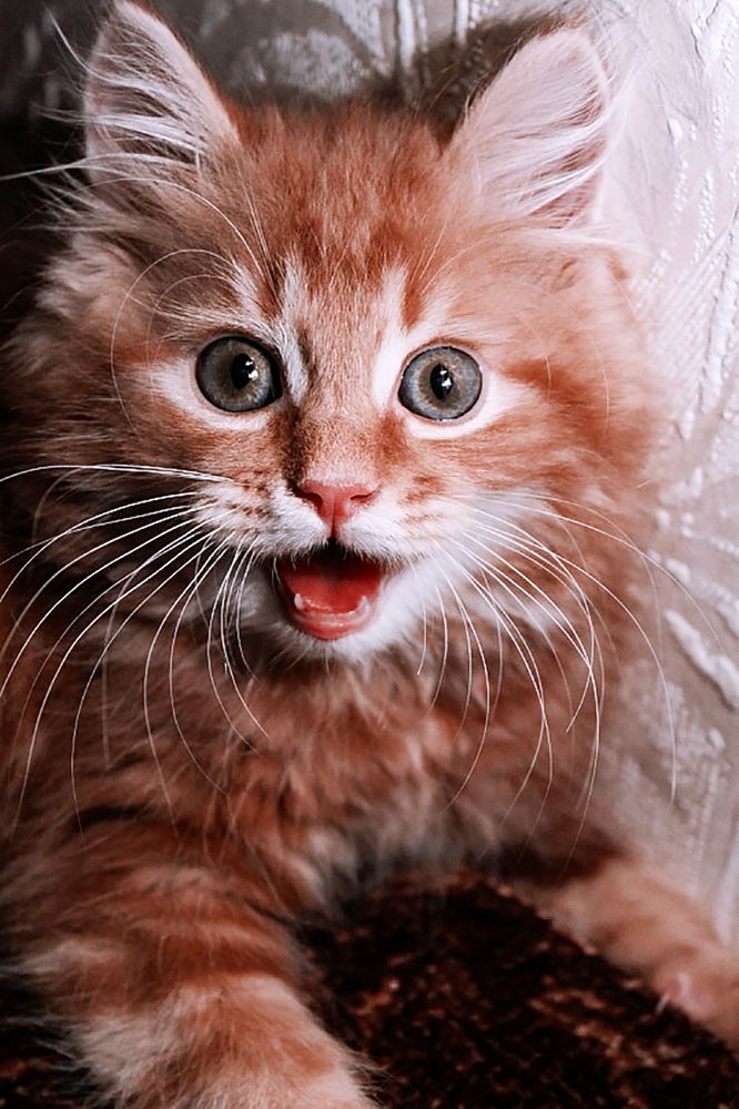 Photograph by Федотова Анна