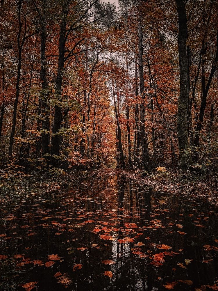 Photograph by Ирина Саакова