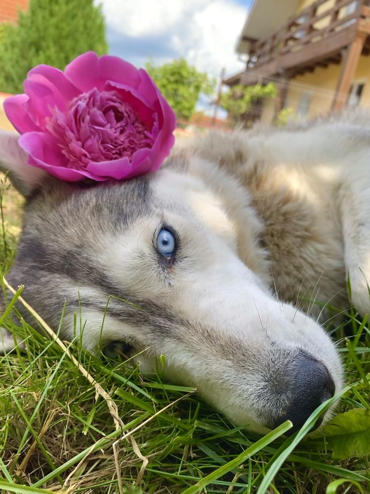 Photograph by Catalina Sirbu