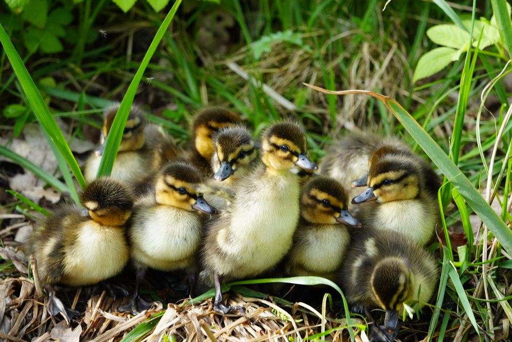 Photograph by Ольга Шугалевская