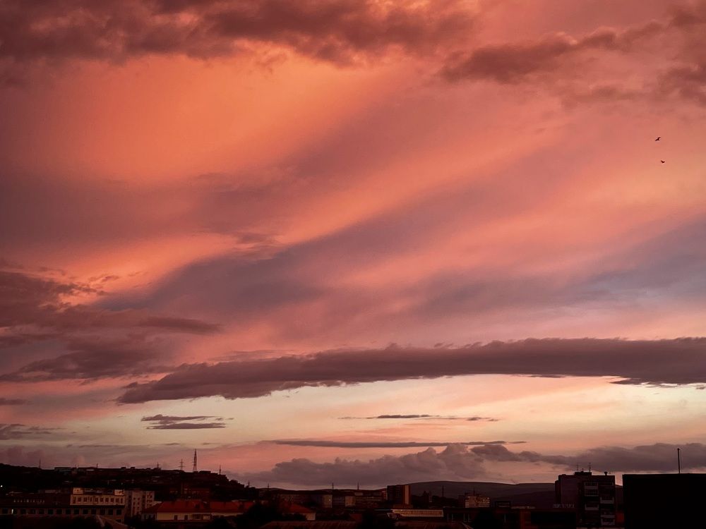 Фотография автора Юлия Шумейко