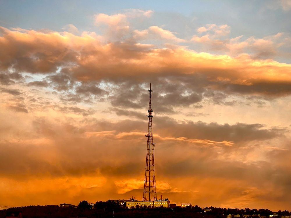 Фотография автора Юлия Шумейко