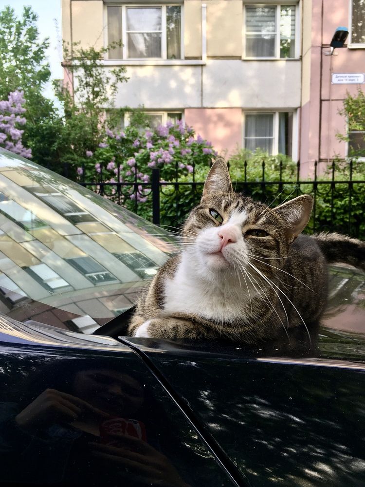 Photograph by Федотова Анна