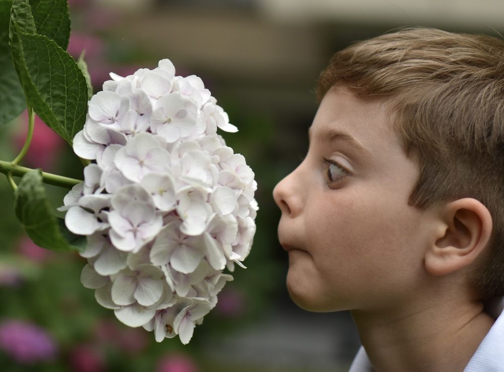 Photograph by Ilona Virse