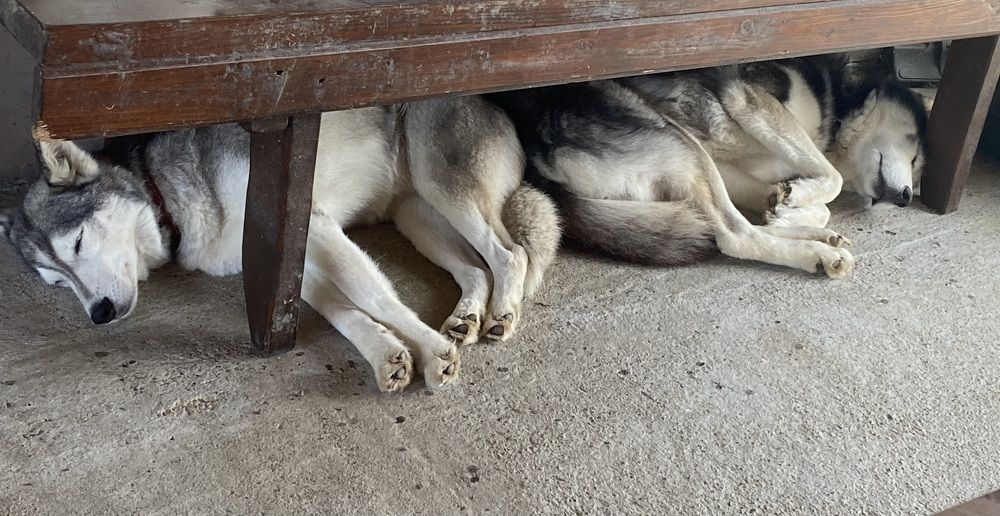 Photograph by Catalina Sirbu