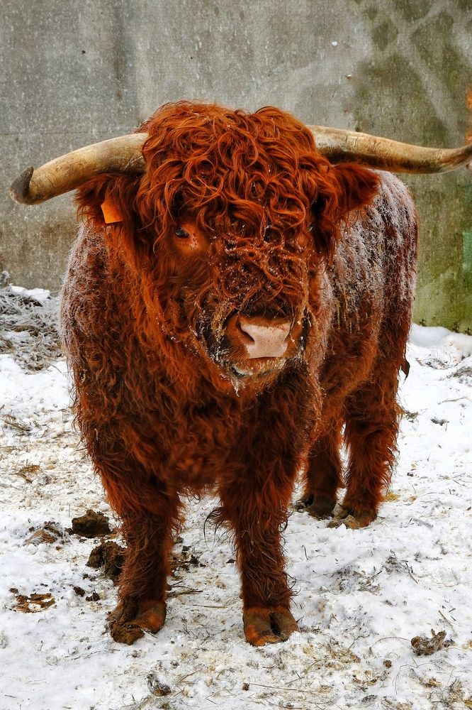 Photograph by Владимир Микрокосмос