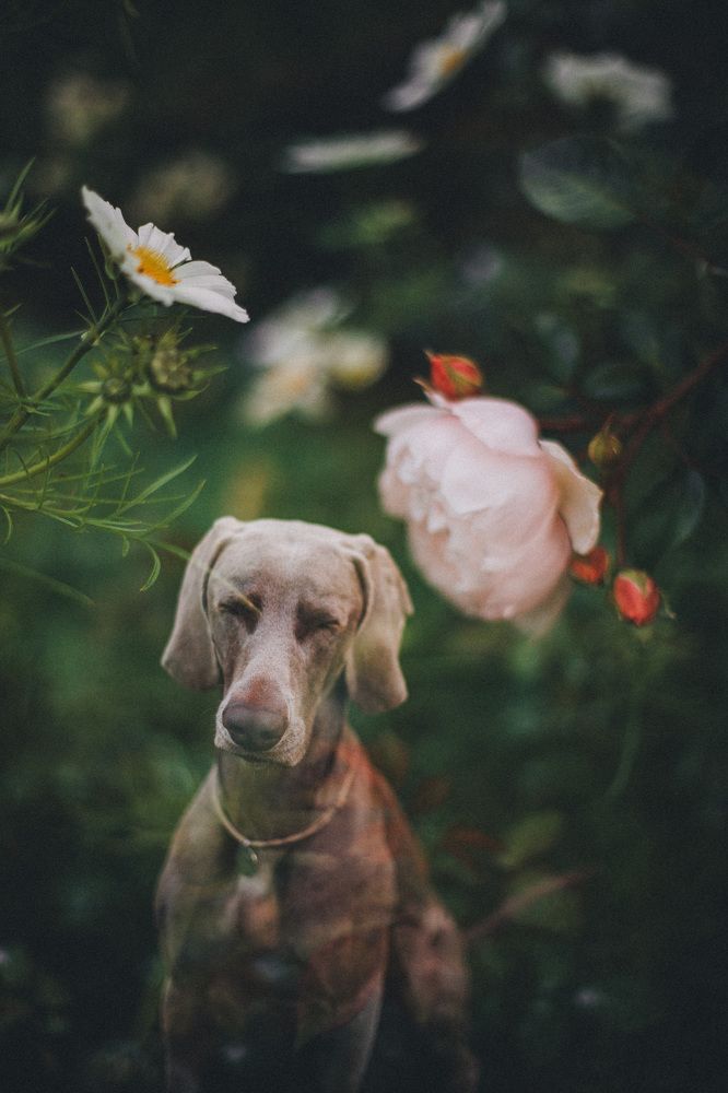 Photograph by Елена Митрофанова