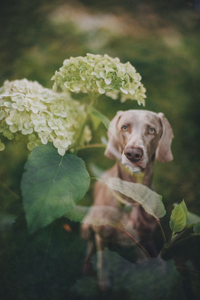 Photograph by Елена Митрофанова