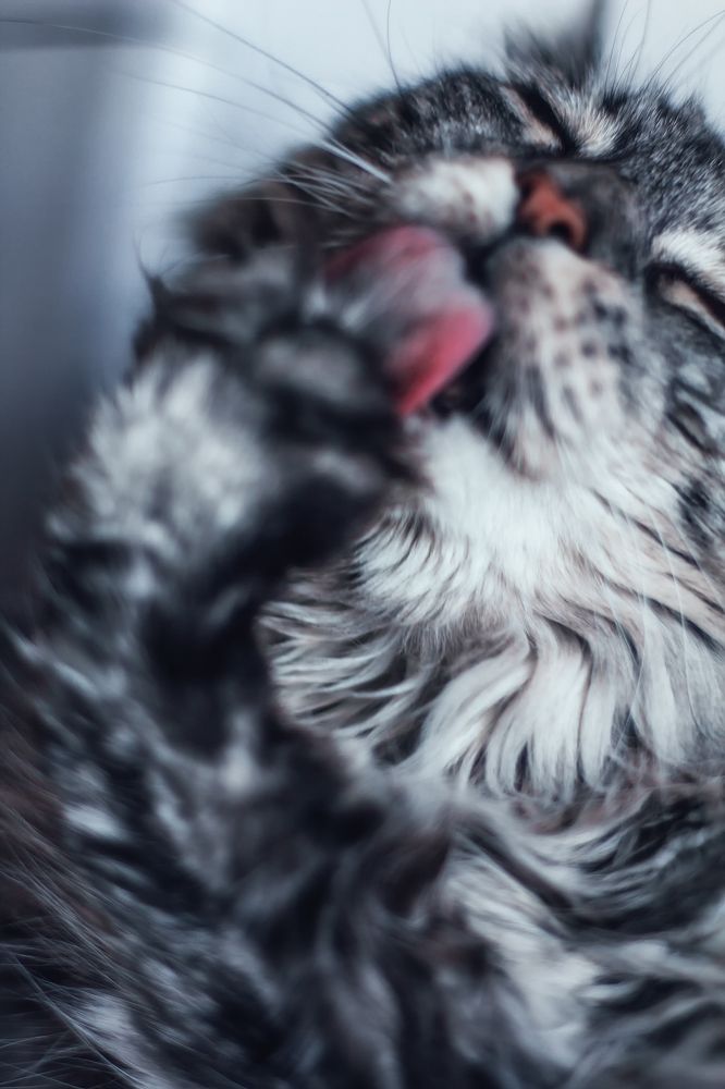 Photograph by Lana Soldatova