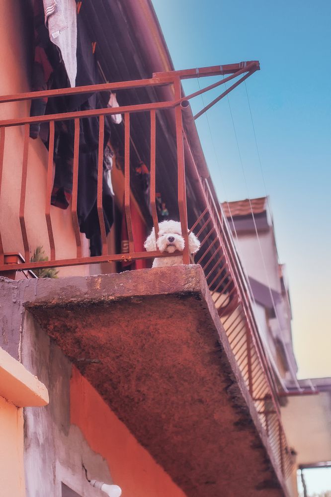 Photograph by Lana Soldatova